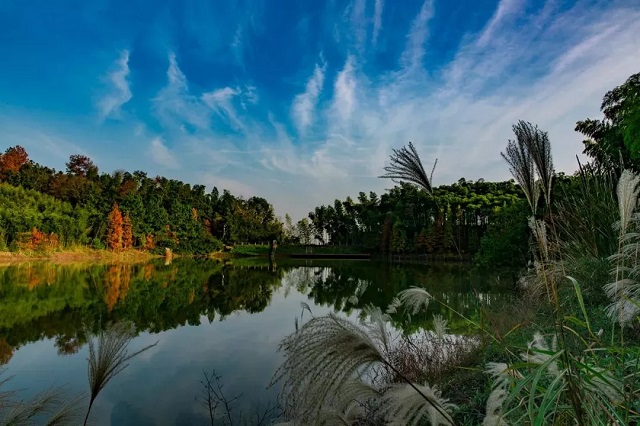 良渚1.jpg 良渚1.jpg