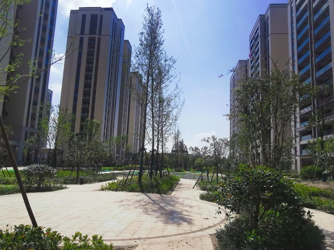 https://mmbiz.qpic.cn/sz_mmbiz_jpg/4WT2I2qqeFCMJdOIYSK9fXoR1DqGTibiayp2e4ghXbr74mAmS28uGG4s8JwX5rzsfuYPVPwkmh6CiaSskv2lic5UHA/640?wx_fmt=jpeg