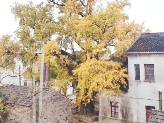 微信图片_20220311115945.jpg