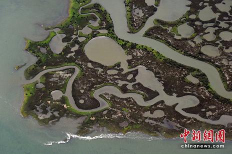 原油污染登陆路易斯安那
