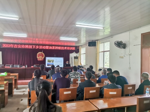 图片4.jpg