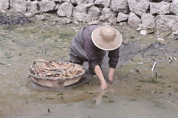 8598214_fh-jiangph_1649920063250_b.jpg