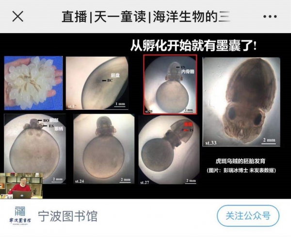 thumb_601a3ddea0668.jpg