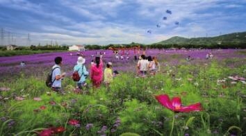 沿着彩云路,一起出游吧02.jpg