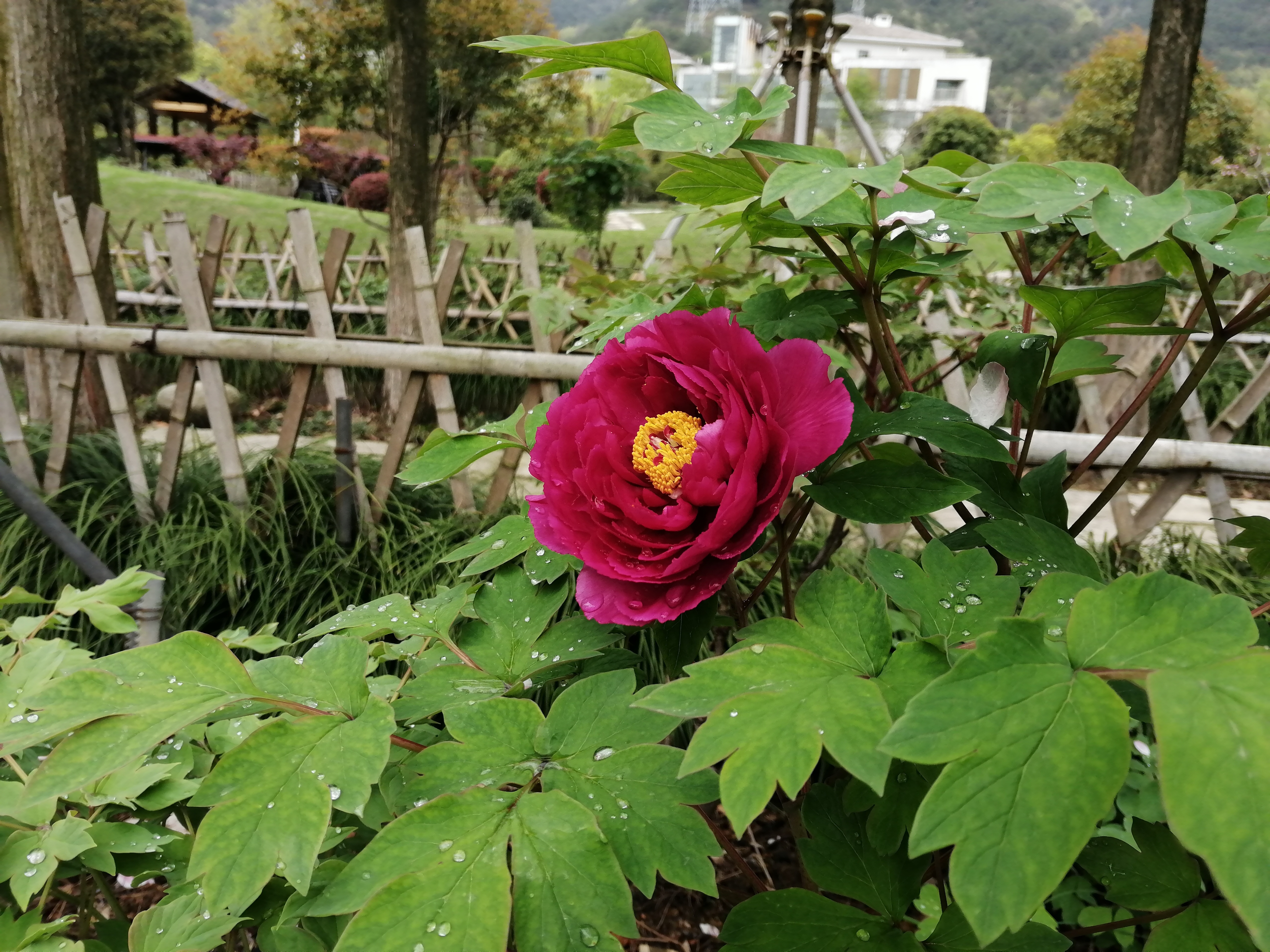 IMG_20220328_111717.jpg
