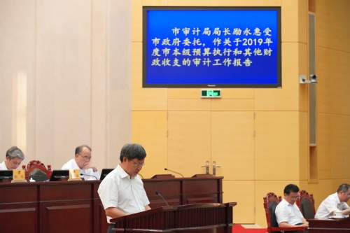 2019年度市审计工作报告2.jpg