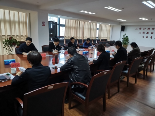 奉化:区纪委书记徐震宇调研审计工作1.jpg