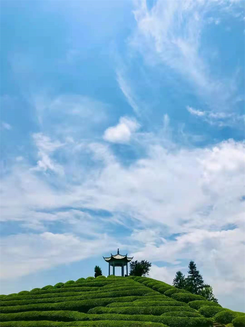 微信图片_20210620154843.jpg
