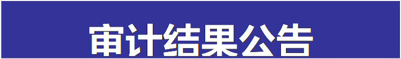 文本框: 审计结果公告