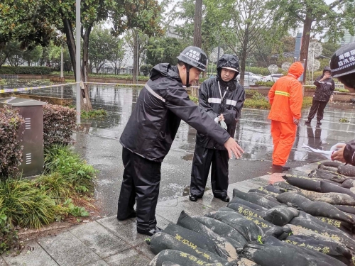 局党委书记局长卢洪波赴姚江岸指挥防汛工作