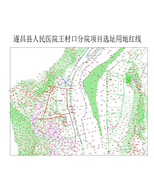 王村口医院2000坐标方案2(1)-Model