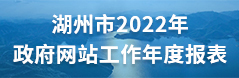 2022年政府网站工作年度报表
