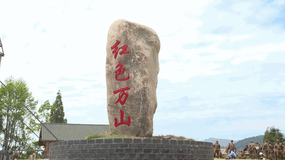 点击查看大图