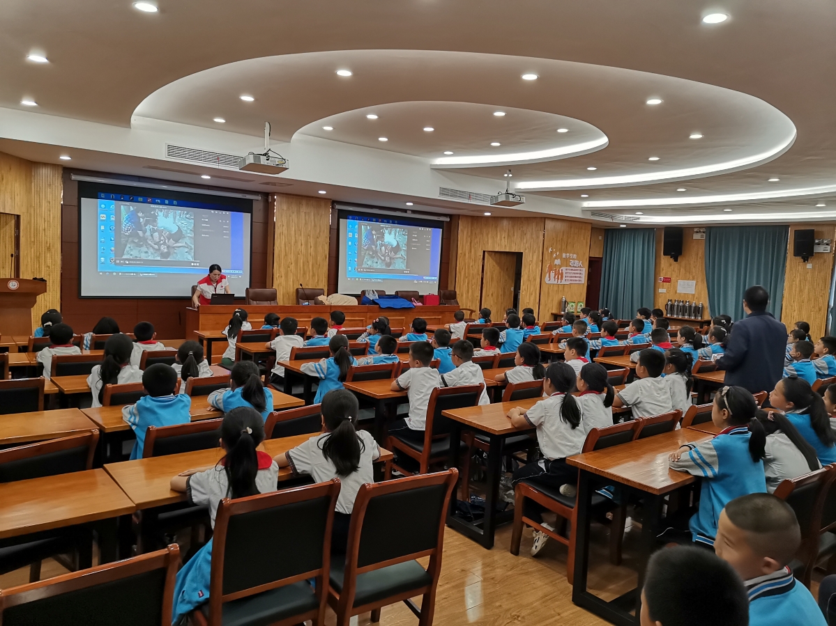 庆元县江滨小学1.jpg