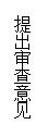 文本框: 提出审查意见