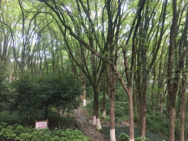 微信图片_20210512100226.jpg