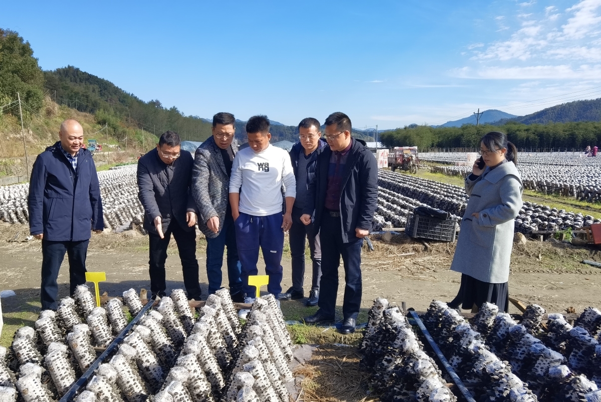 2021年11月25日，在龙泉市调研农业科技工作时.jpg