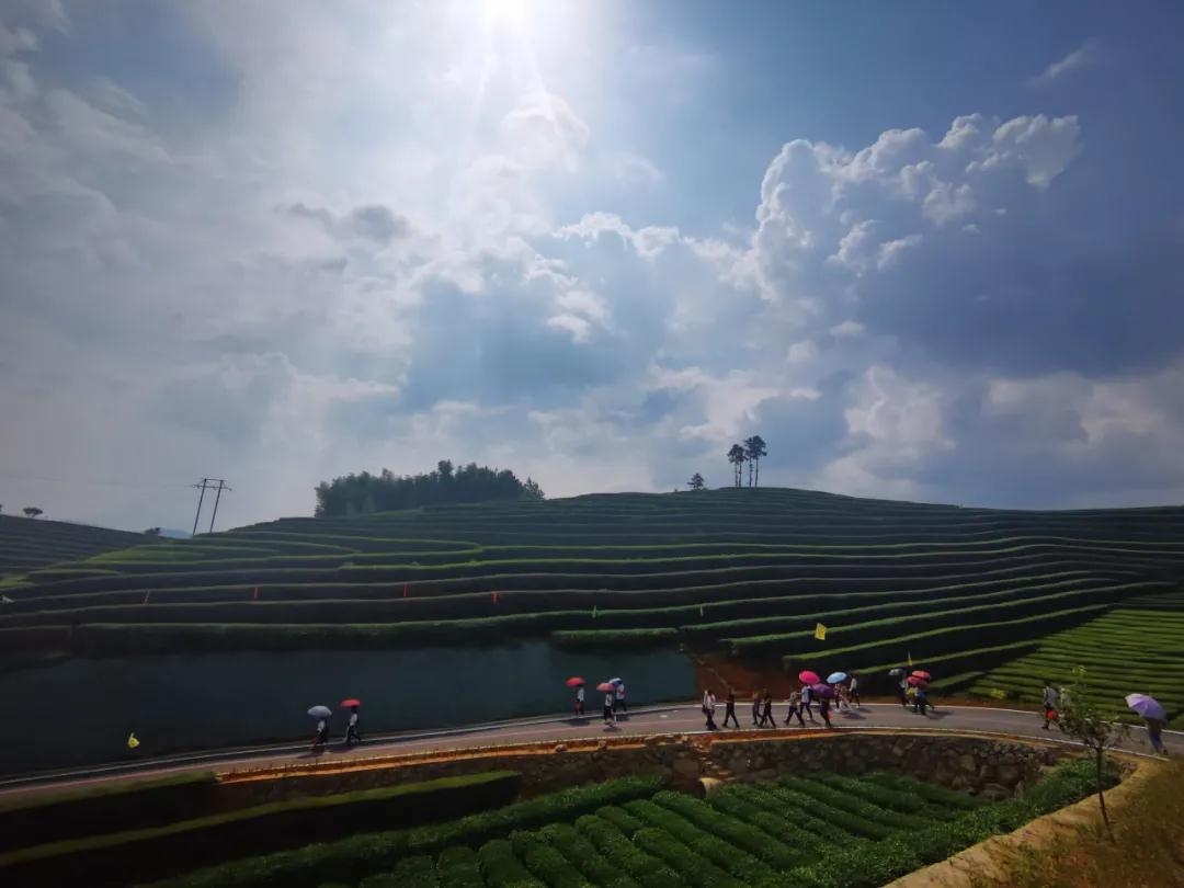 微信图片_20210621112536.jpg 微信图片_20210621112536.jpg