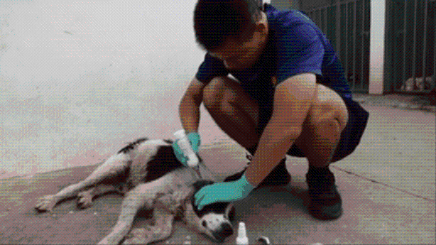 微信图片_20210420150153.gif 微信图片_20210420150153.gif