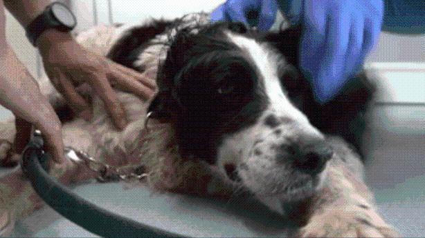 微信图片_20210420150159.gif 微信图片_20210420150159.gif