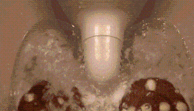 2.gif