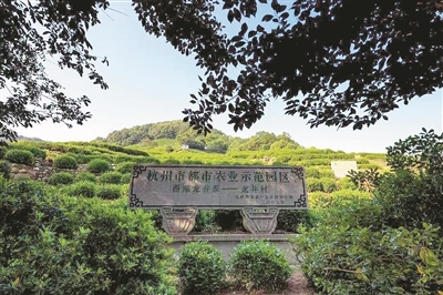 千年茶乡龙井村又获国家级称号