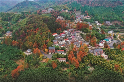 山高秋逾浓