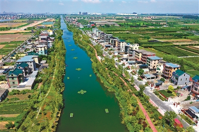 炎炎夏日里,从空中俯瞰钱塘区临江街道萧东村四工段横河沿线,水清岸绿