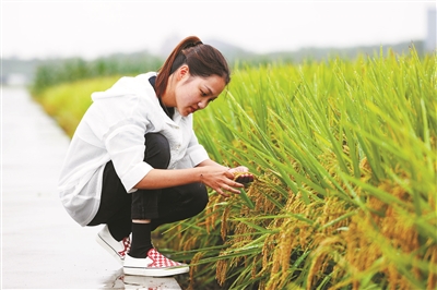 新农人的别样青春