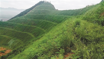 大力修复矿山生态富阳重塑绿水青山