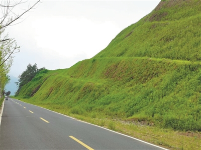 修复山体生态实现千岛湖绿色无瑕疵美景国际范