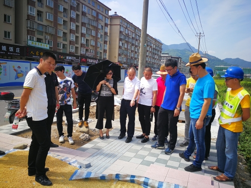 显斌和镇长李晓带队督查泽雅小城镇环境综合整治工作,各项目领办领导