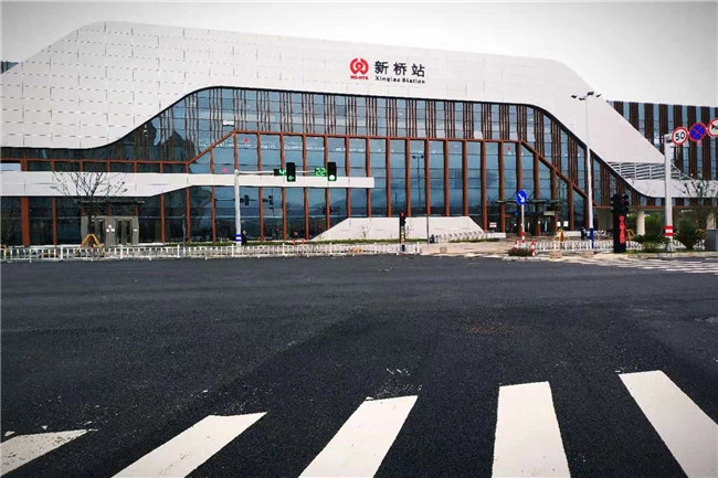 s1线新桥站通站大道"花海"绽放