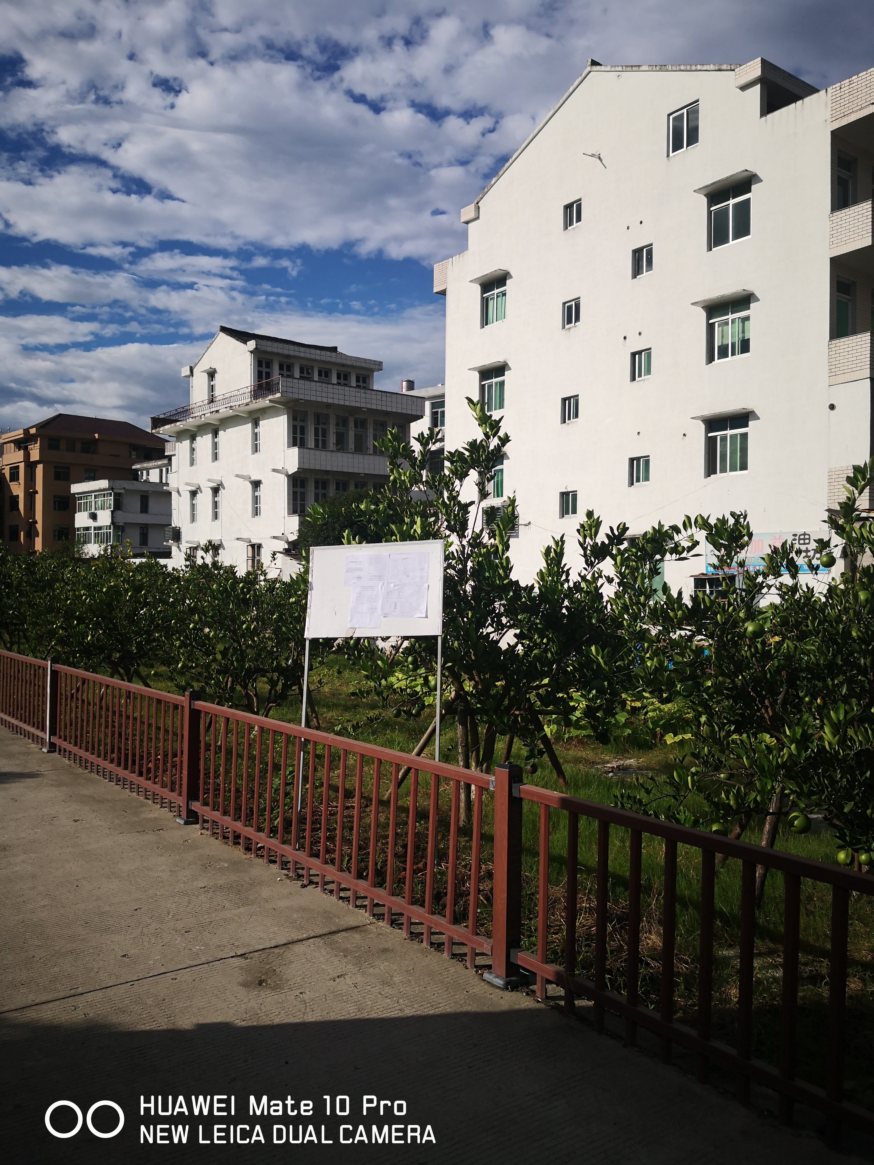 桥头镇白垟村陈觉,陈建义批后公布