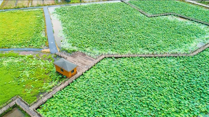 观美田园入选全市最美