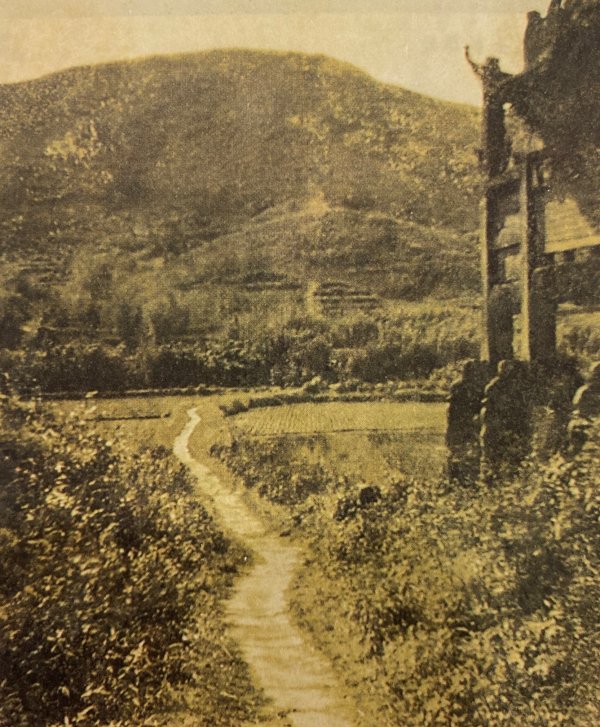 的场景,而这段竹松幽茂,酒香四溢的沿山道路正是后人所称的"西溪辇道"