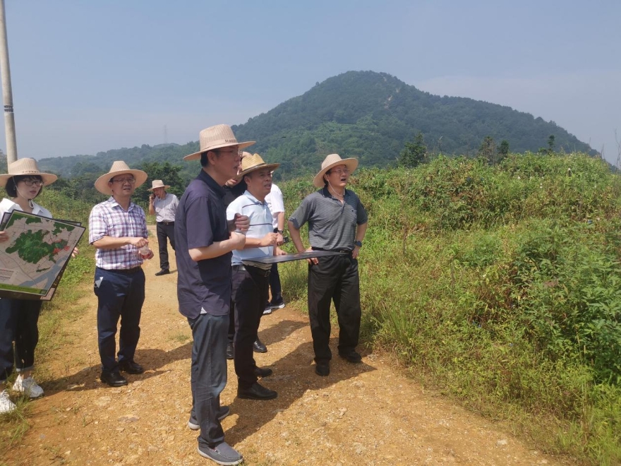 陈章全一行先后来到三垟湿地瓯柑产业园和大罗山罗山