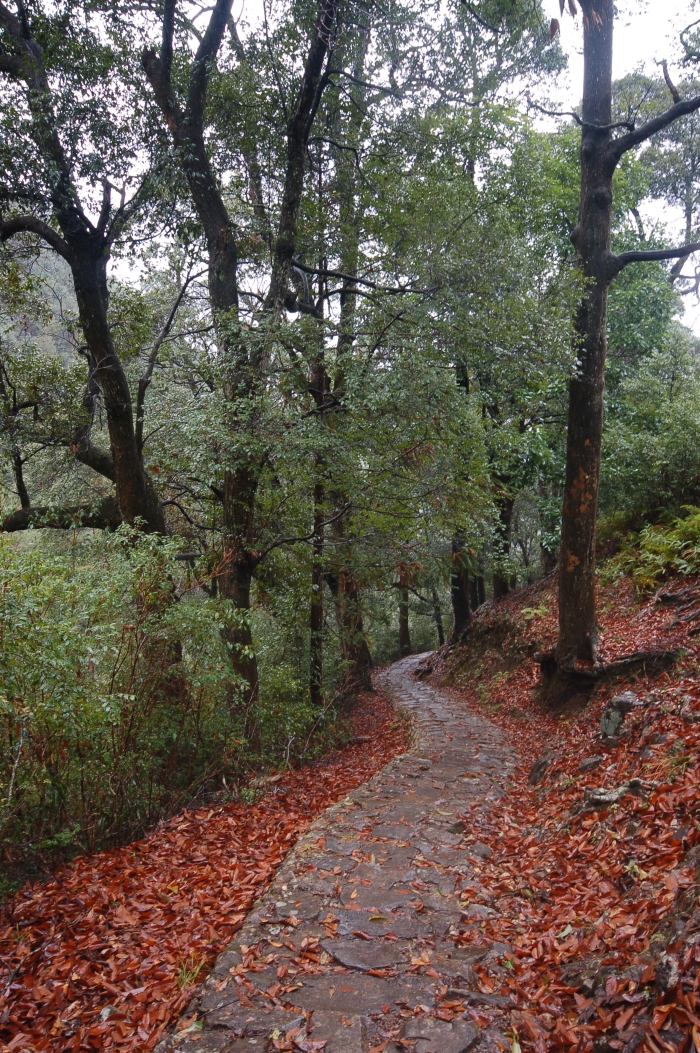 泰顺天关山古道
