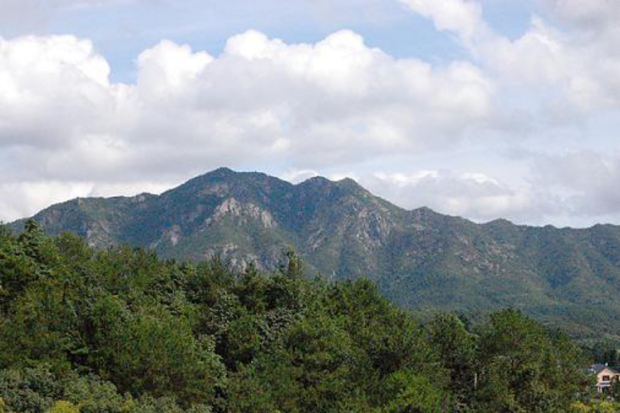 龙游天池山茶林古道