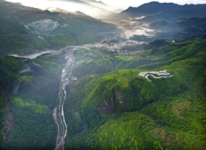 青田县浙南地峡森林氧吧