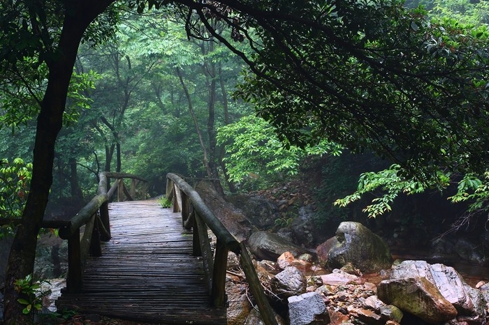 石鼓国家森林公园景区位于江山市的西南部山区,距江山市区60公里,离黄