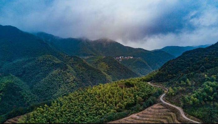 义乌市北山村森林氧吧