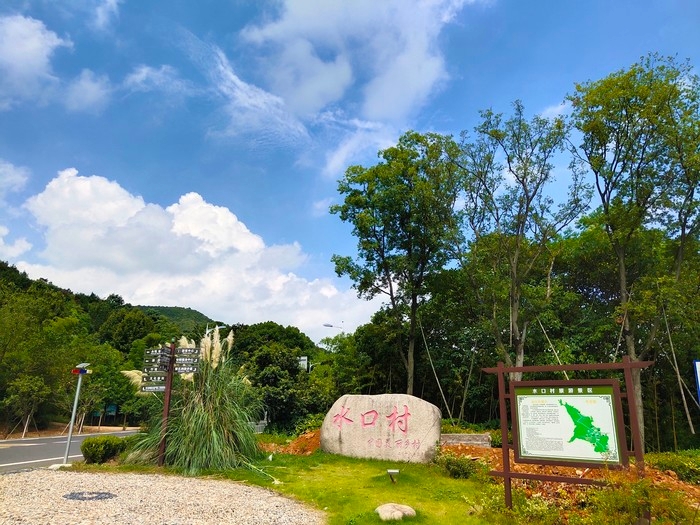 长兴县水口村森林氧吧