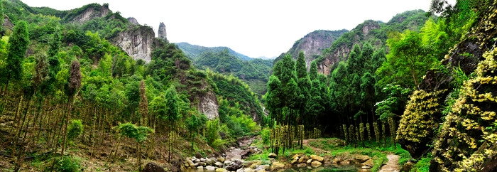 龙南石斛谷风景区图片