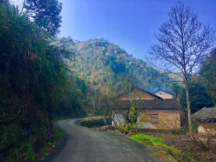 紫錦山森林公園位於桐廬縣分水鎮大路村,是一個依山傍溪,山青水秀