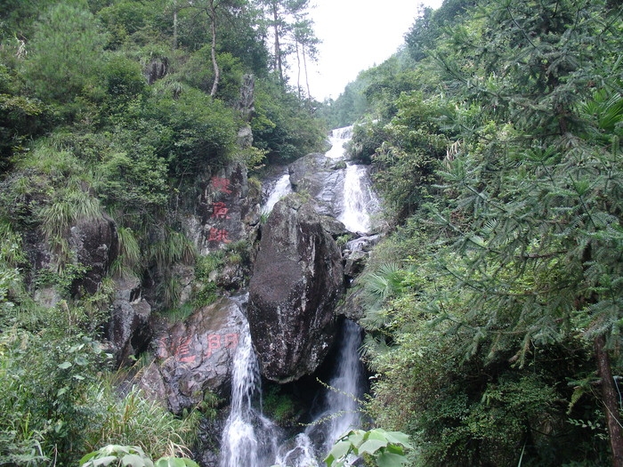 松阳卯山国家森林公园位于丽水市松阳县古市镇,距离县城14公里.