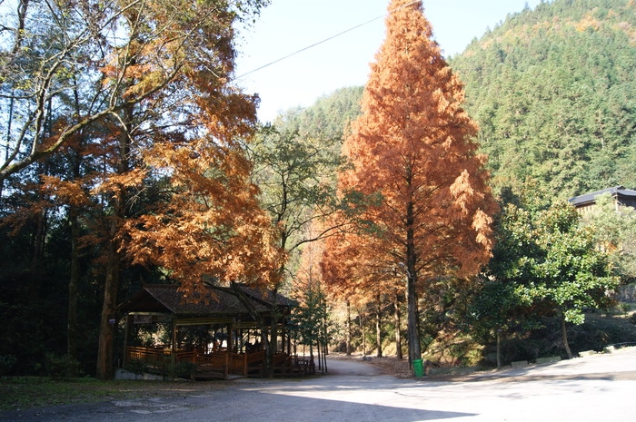 松阳卯山国家森林公园位于丽水市松阳县古市镇,距离县城14公里.