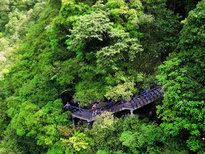 文成温州猴王谷景区图片