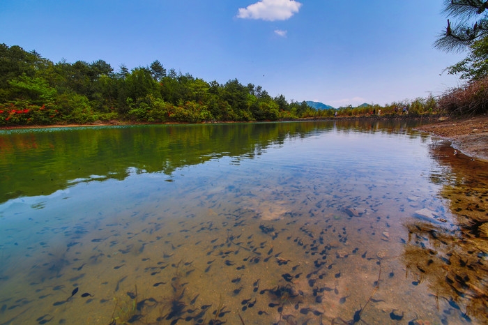 七仙湖湿地公园图片