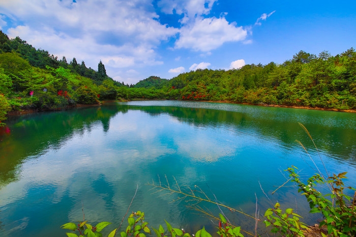 七仙湖湿地公园图片